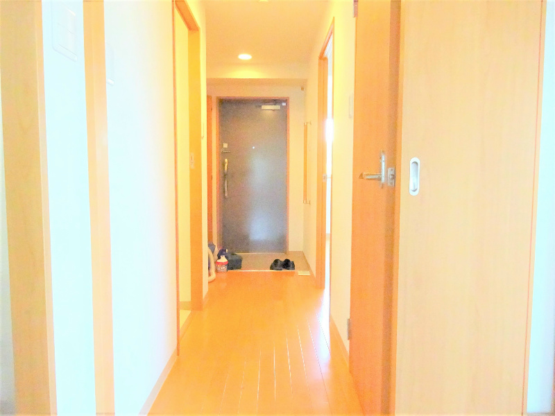 ラ・メゾンＭＳⅡ 玄関