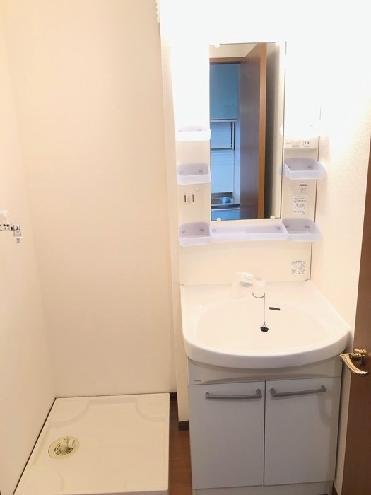 プチグリーン その他1