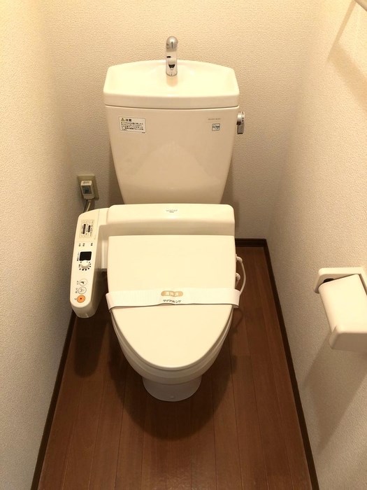 プチグリーン その他5