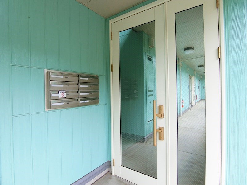 プチグリーン その他外観4