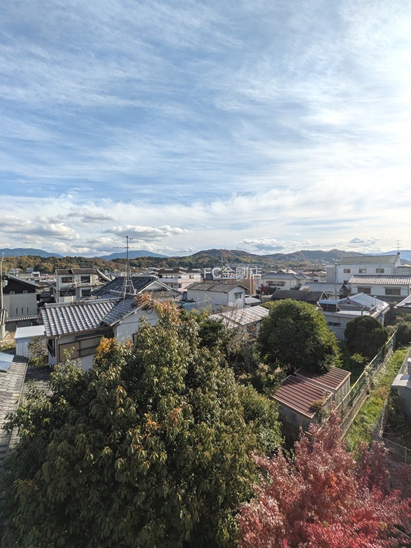 森井マンション その他8