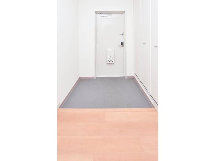 URいぶき野三丁目団地5号棟 玄関