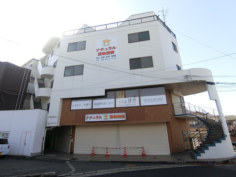 シャングリラ深井 その他外観4