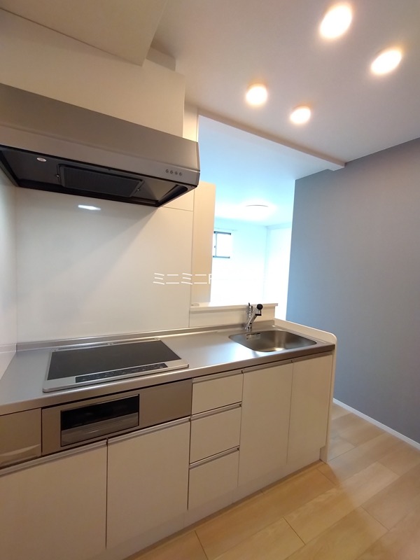 ポルチュラーカ その他8