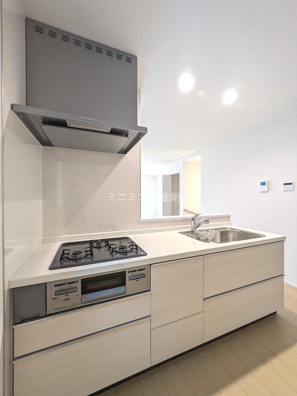 堺市東区南野田戸建 その他23