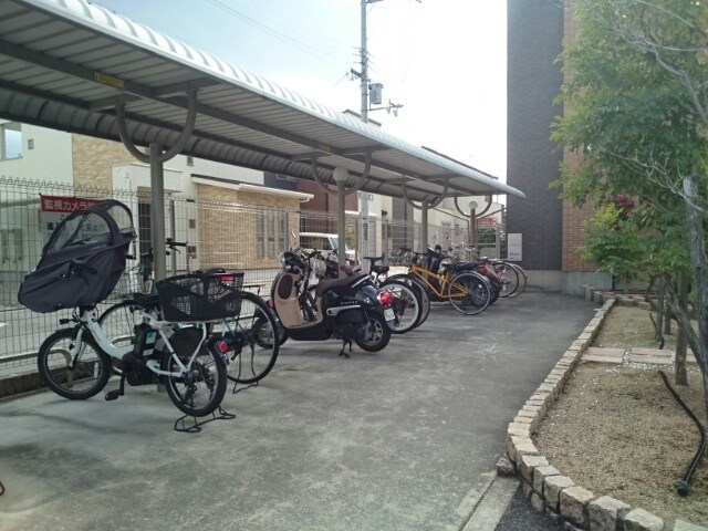 ジン その他外観3