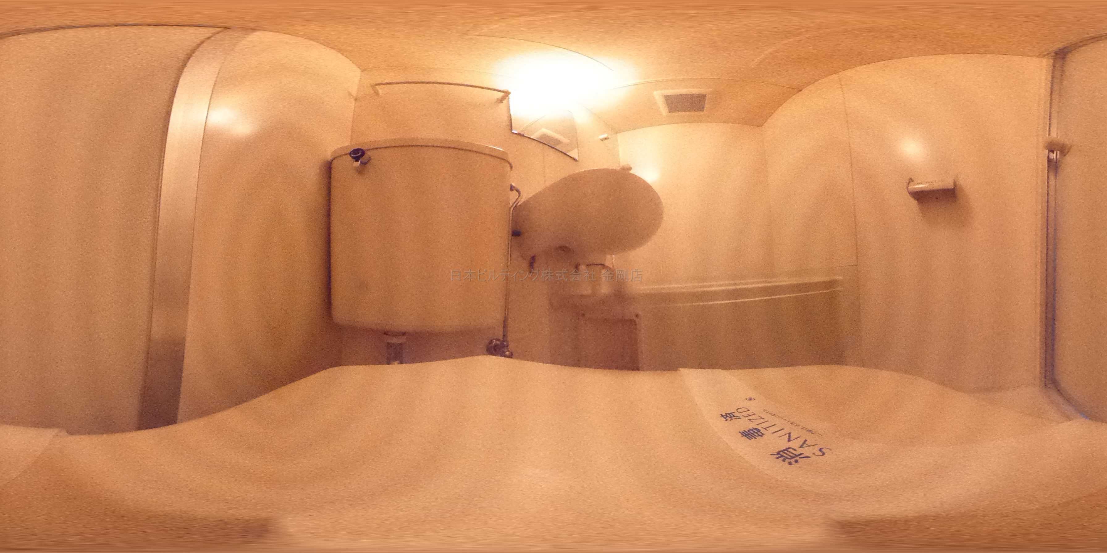 ラフィーネ1号館 洗面所