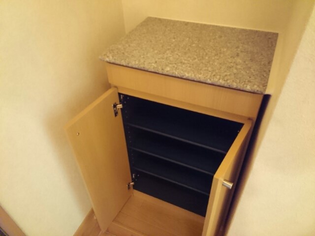 フォチュネイト その他6