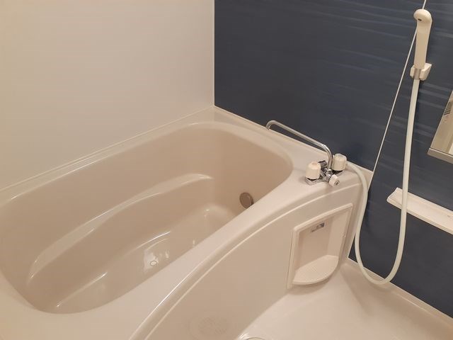 シェーネ　康 風呂画像