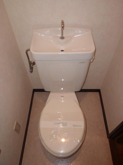 ピソ・キタノ その他2