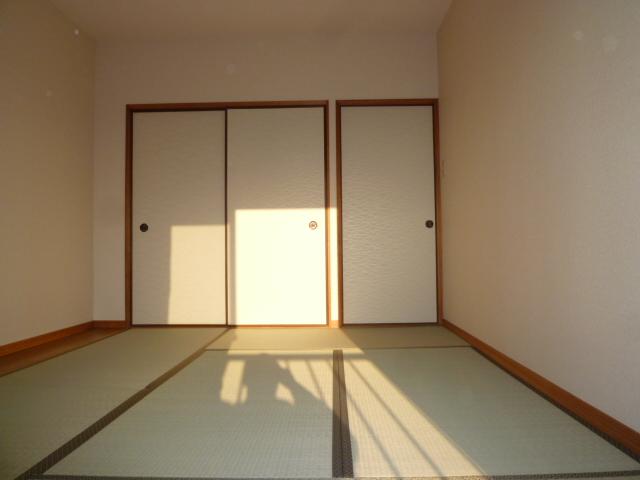 ピソ・キタノ その他3