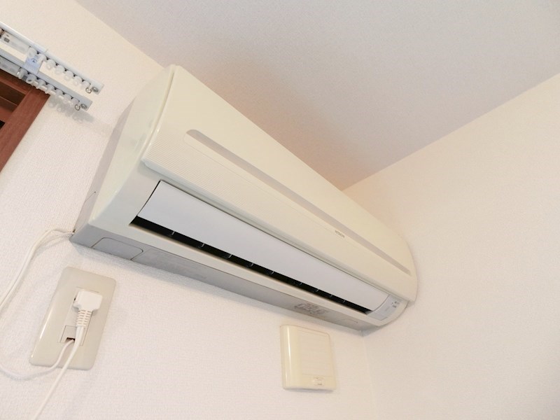 プチグリーン その他10