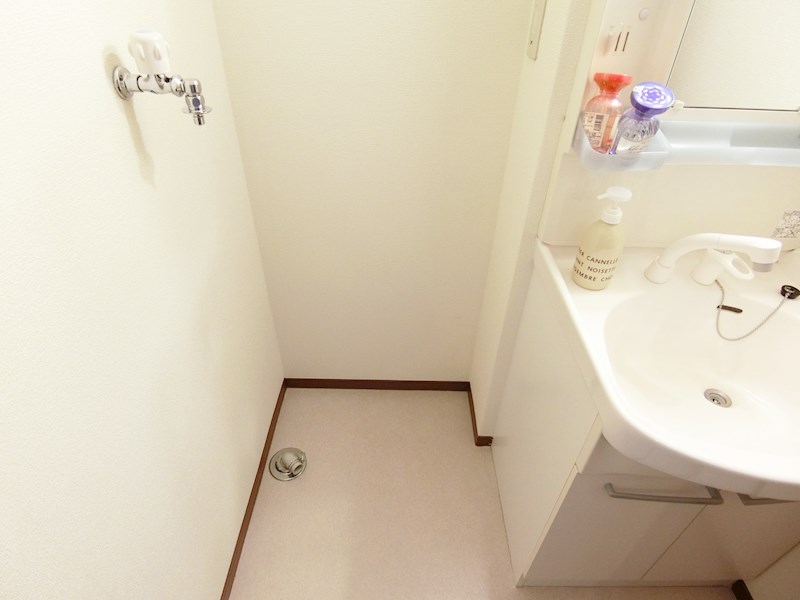 プチグリーン その他16