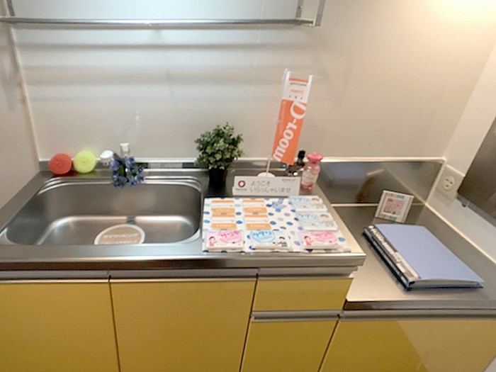 プチグリーン キッチン