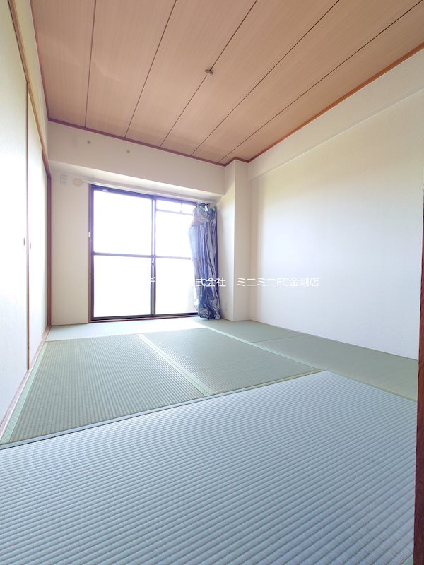 プレアデス その他15