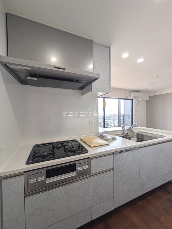 ヴェリテ金剛ルネクロスサイト その他23