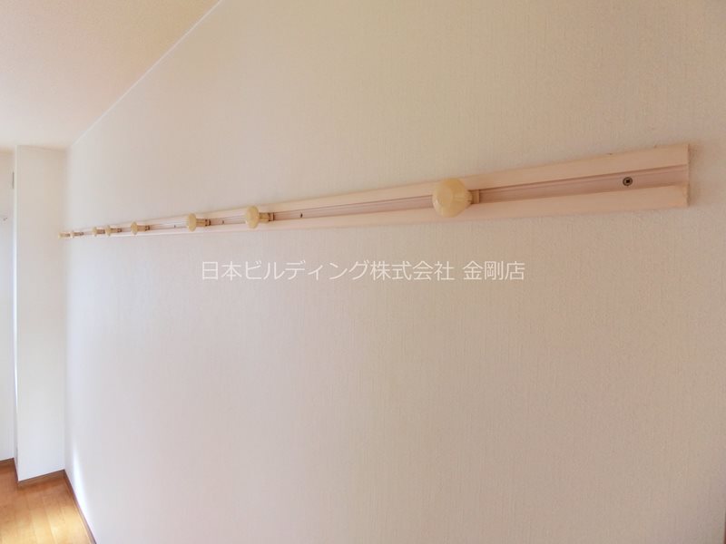 Selley&amp;rsquo;s金剛 その他12