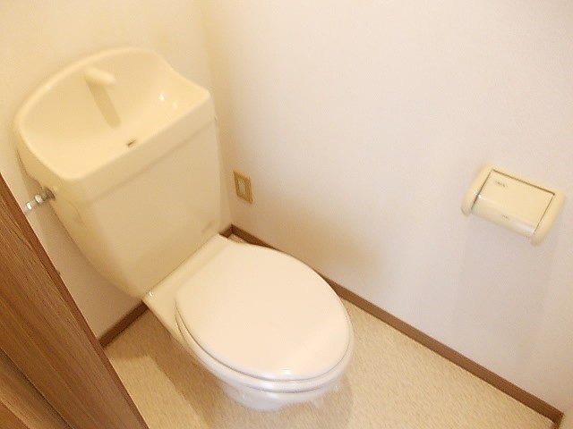 シーカン その他2