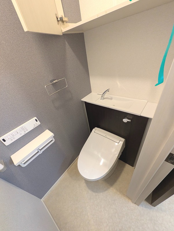 ヒカルサ富田林桜井町 その他2