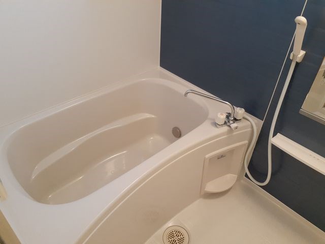 プラシード・カーサ 風呂画像