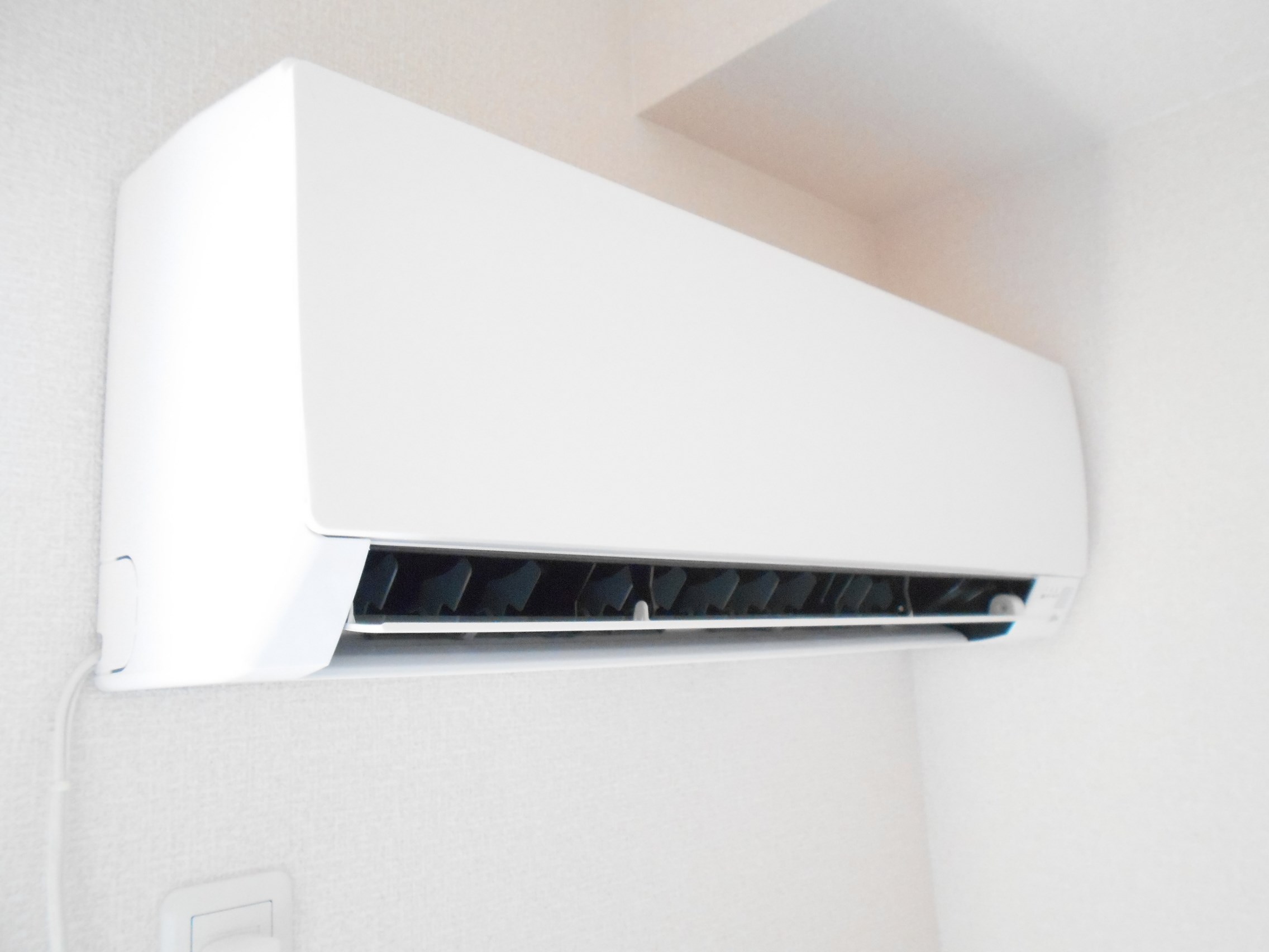 ラ・フェリーチェ その他5