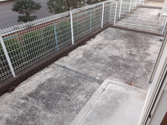 コスモスB ベランダ