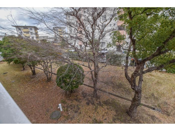 ＵＲ金剛団地　128号棟 その他7