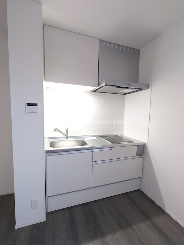 アクシス北野田 キッチン