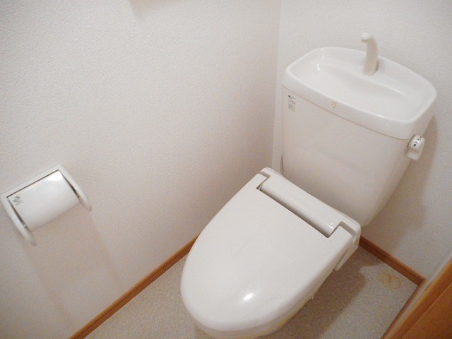 シェーネ　エレガンシア その他1