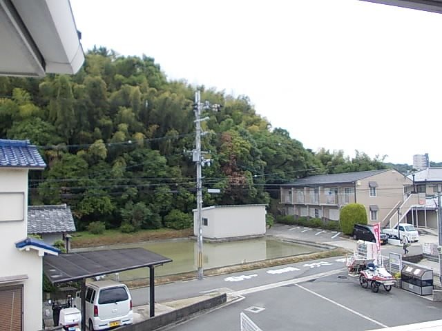 シェーネ　エレガンシア その他6