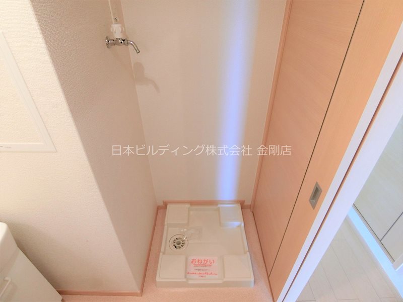 クリプトメリア　アヴェニュー その他3