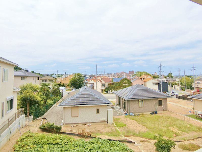 クリプトメリア　アヴェニュー その他6