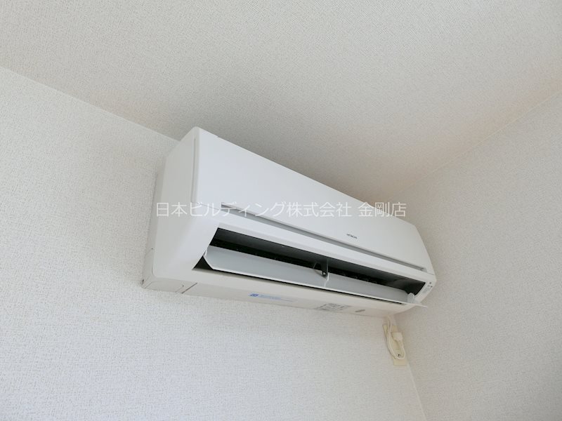 クリプトメリア　アヴェニュー その他14