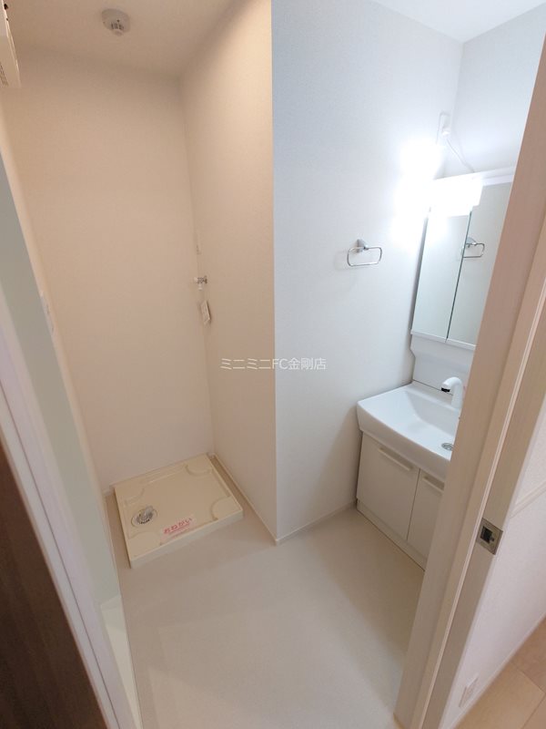 ゼフィランサス その他2