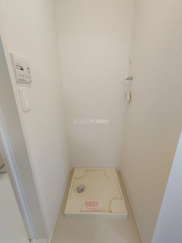 ゼフィランサス その他6