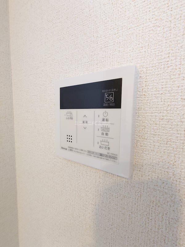 ゼフィランサス その他7