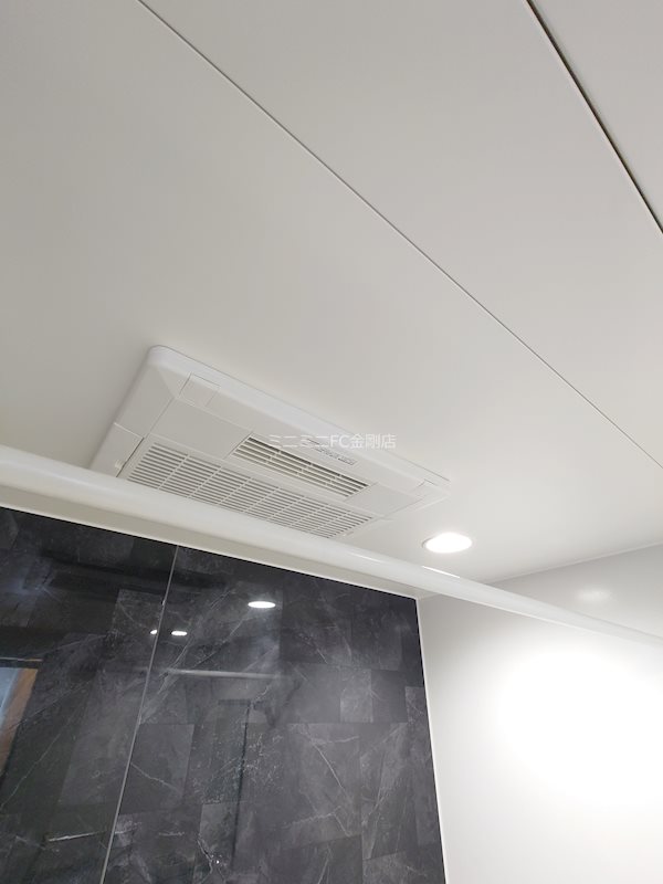 ゼフィランサス その他11