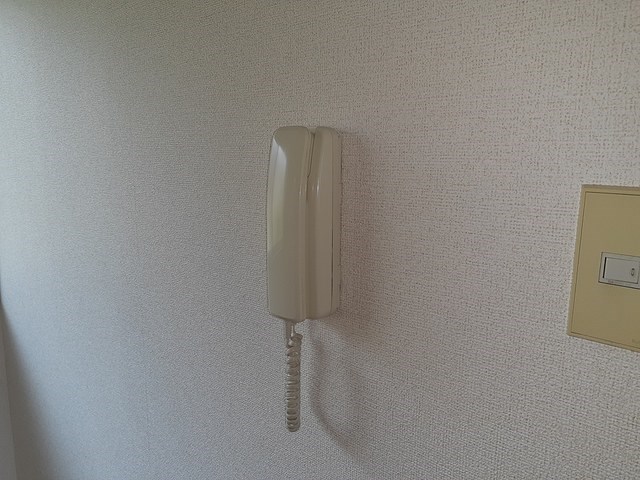 シルバーヴェリー金剛 その他3