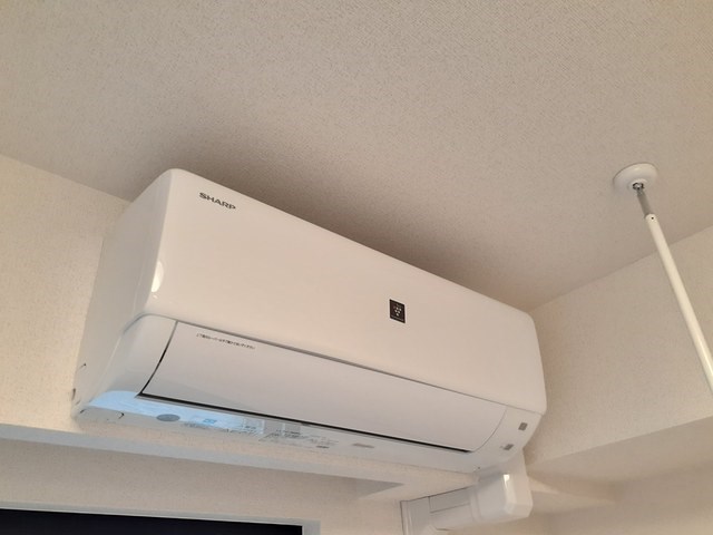 フリーデ・M その他1