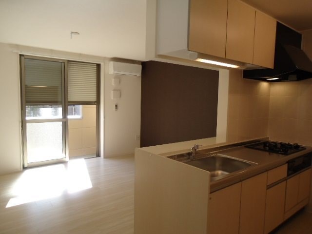 Univaly Jew Ⅰ キッチン