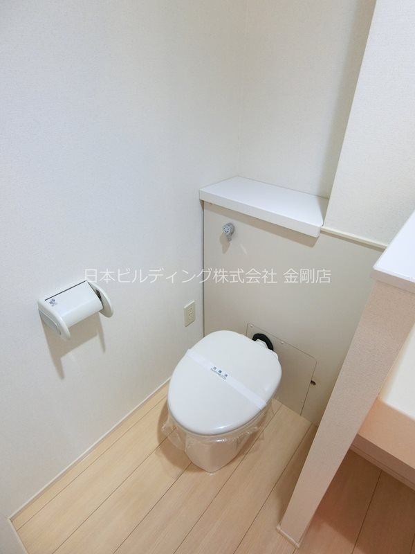 クリプトメリア その他5