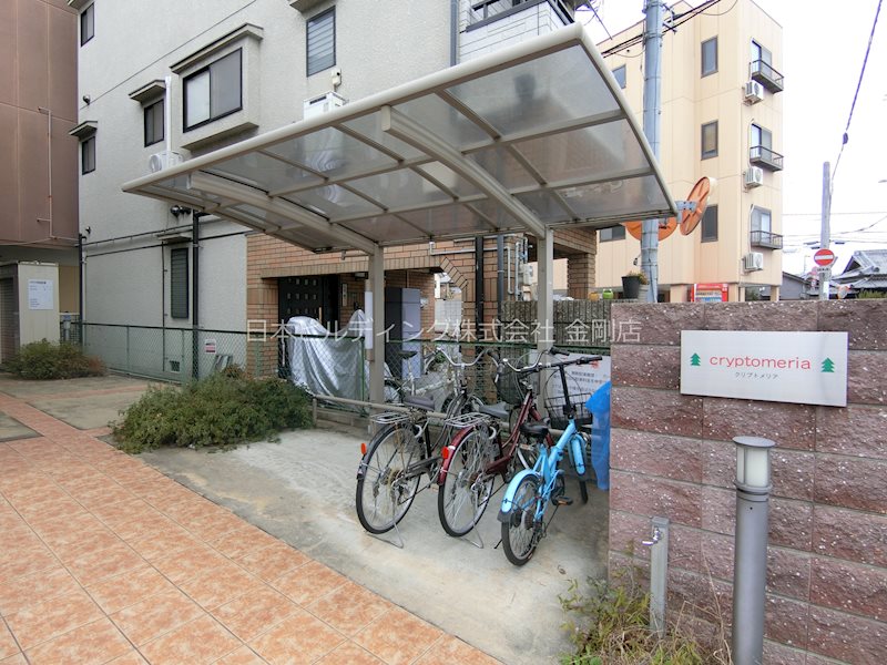 クリプトメリア その他外観2