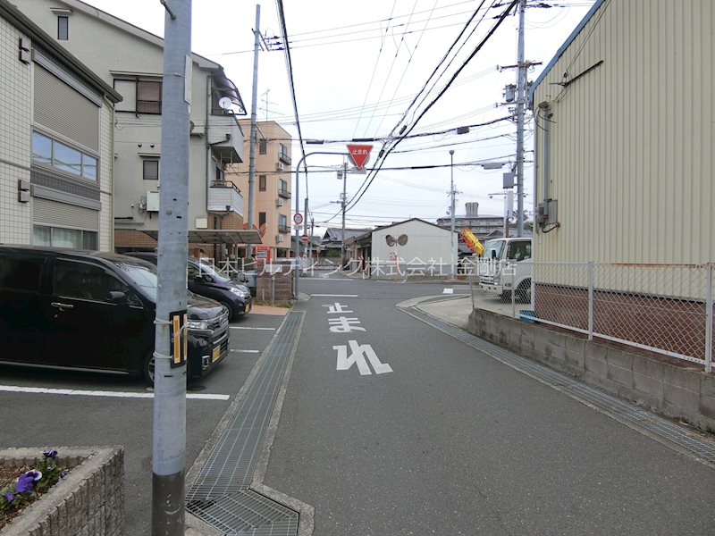 クリプトメリア その他外観4