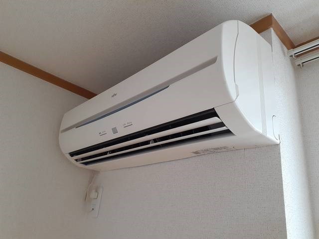 ジン　シャン その他1