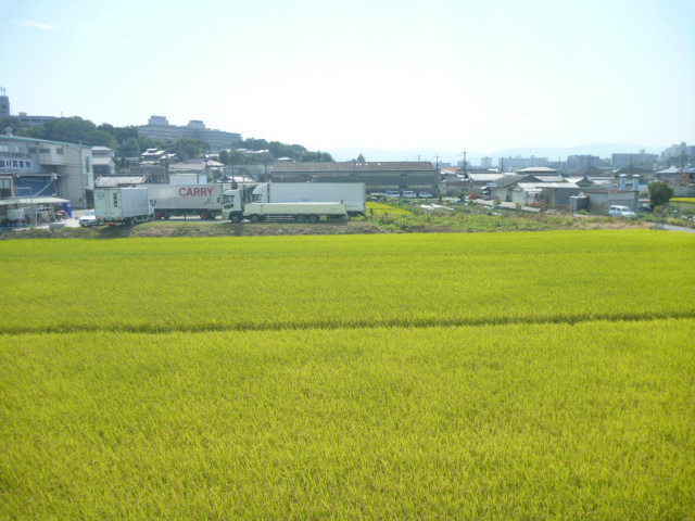 パークサイドステージ その他外観4