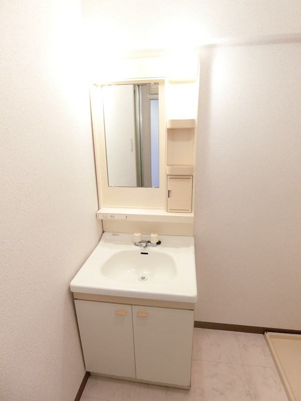 シェラ金剛 その他13