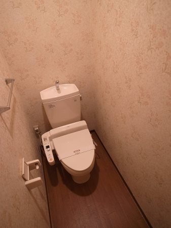 プチグリーン その他2