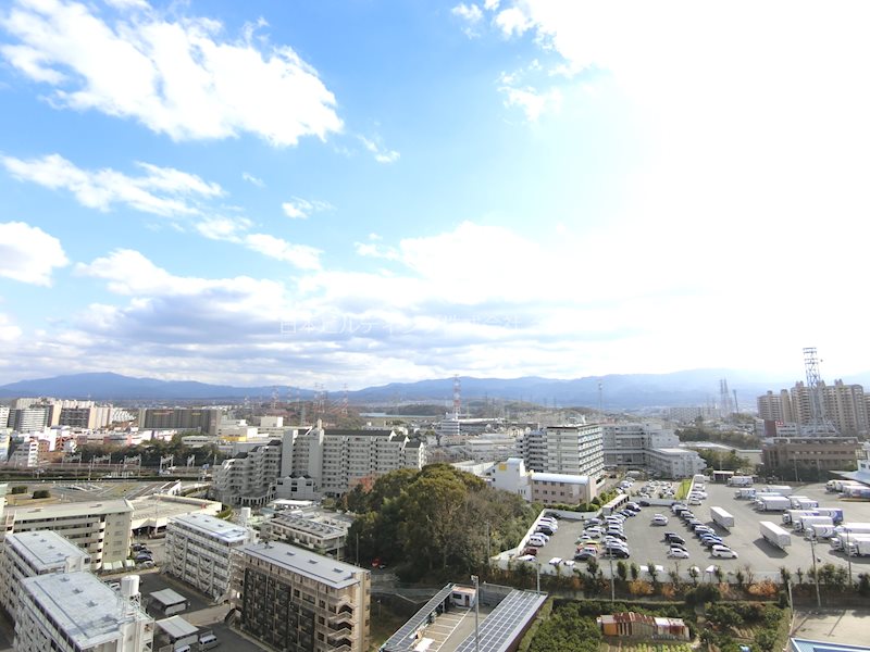 マイ・シティ泉北B棟 その他6