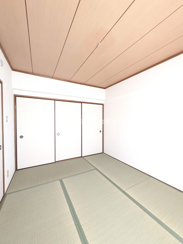 アミール西野 その他17