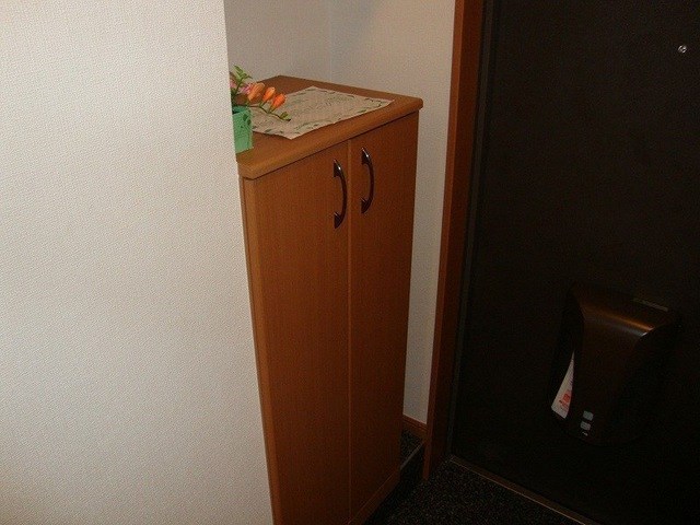 グレイシャス その他12